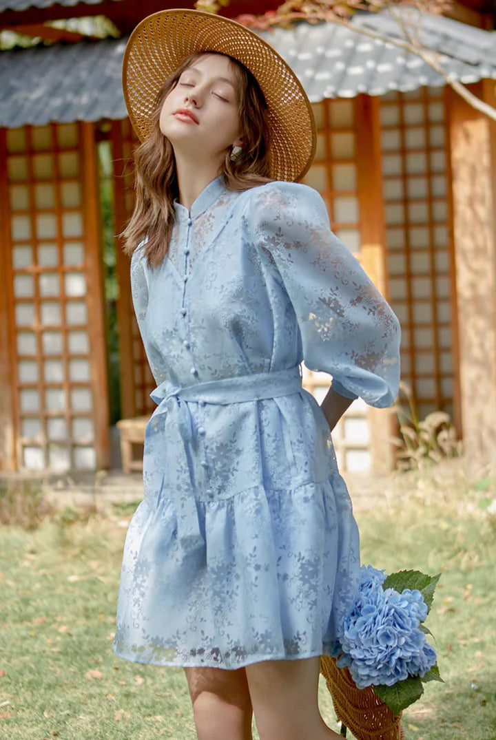 Petite Studio Boulder Dress -Sky Organza